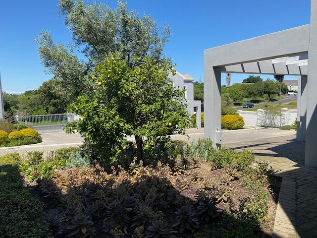 3 Bedroom Property for Sale in Bergsig Western Cape